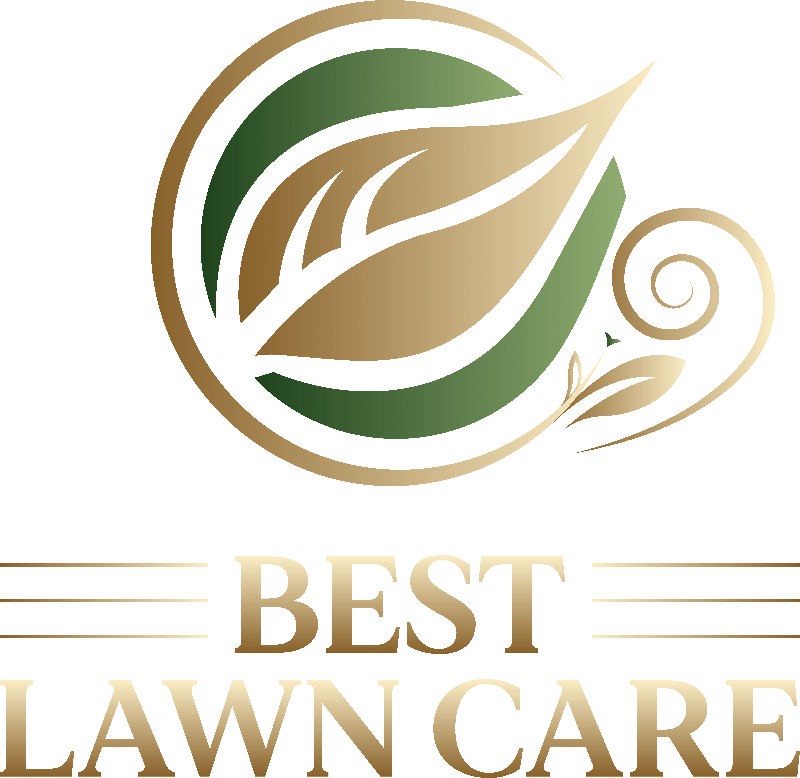 Best Lawn Care